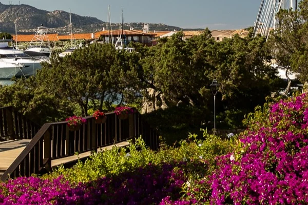 Porto Rotondo 2